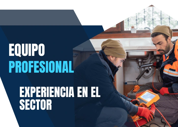 personal altamente cualificado