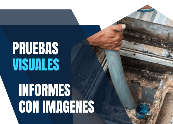 Informes visuales